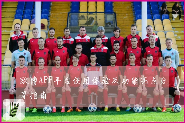 欧博APP平台使用体验及功能亮点分享指南
