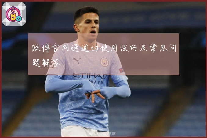 欧博官网通道的使用技巧及常见问题解答