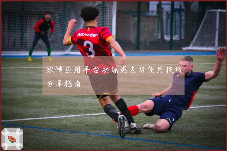 欧博应用平台功能亮点与使用技巧分享指南